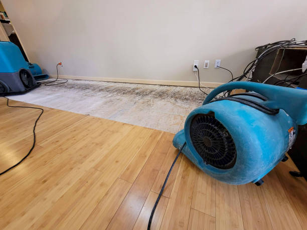 Professional Flood Damage Cleanup technician working in Weare, NH